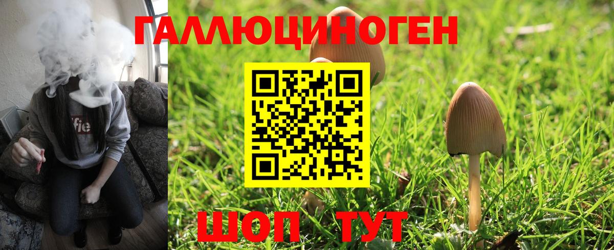 Галлюциногенные грибы мицелий Ипатово