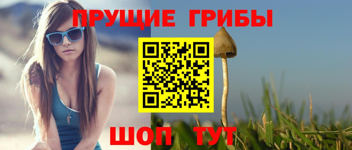 Псилоцибиновые грибы Cubensis  Вход с VPN  Псилоцибиновые грибы мухоморы  Ипатово 